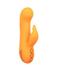 CALEXOTICS - MONTECITO MUSE VIBRATEUR LAPIN ORANGE PAR CALIFORNIA DREAMING