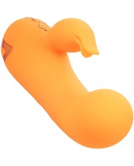 CALEXOTICS - MONTECITO MUSE VIBRATEUR LAPIN ORANGE PAR CALIFORNIA DREAMING