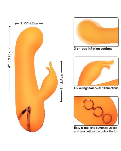 CALEXOTICS - MONTECITO MUSE VIBRATEUR LAPIN ORANGE PAR CALIFORNIA DREAMING