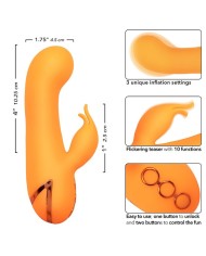 CALEXOTICS - MONTECITO MUSE VIBRATEUR LAPIN ORANGE PAR CALIFORNIA DREAMING