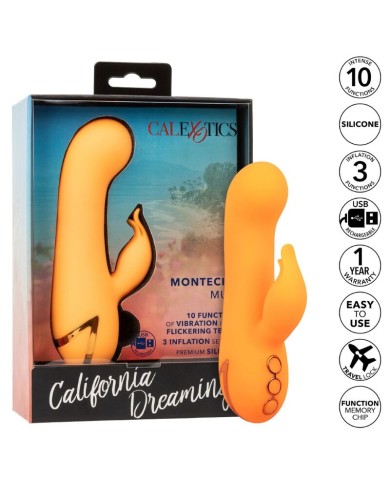 CALEXOTICS - MONTECITO MUSE VIBRATEUR LAPIN ORANGE PAR CALIFORNIA DREAMING