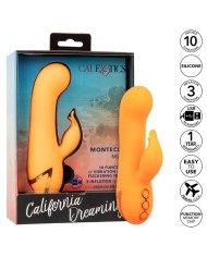 CALEXOTICS - MONTECITO MUSE VIBRATEUR LAPIN ORANGE PAR CALIFORNIA DREAMING