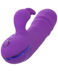 CALEXOTICS - MANHATTAN BEACH MARVEL VIBRATEUR RABBIT VIOLET PAR CALIFORNIA DREAMING