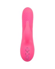 CALEXOTICS - SACRAMENTO SWEETIE VIBRATEUR LAPIN ROSE PAR CALIFORNIA DREAMING
