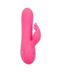 CALEXOTICS - SACRAMENTO SWEETIE VIBRATEUR LAPIN ROSE PAR CALIFORNIA DREAMING
