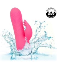 CALEXOTICS - SACRAMENTO SWEETIE VIBRATEUR LAPIN ROSE PAR CALIFORNIA DREAMING