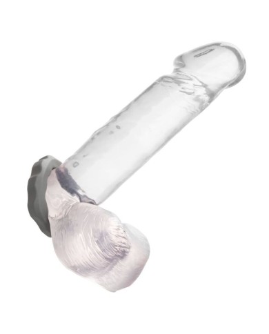 CALEXOTICS - BAGUE ALPHA ERECT GRIS