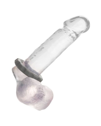 CALEXOTICS - BAGUE ALPHA ERECT GRIS