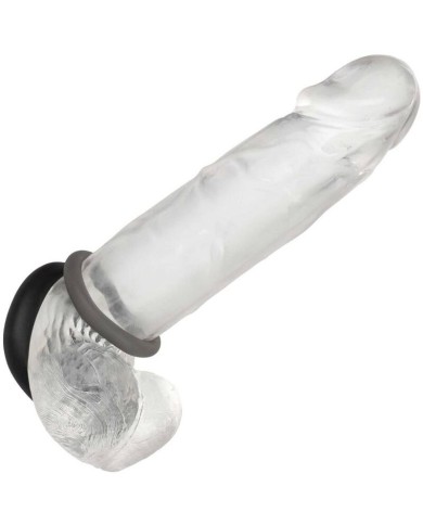 CALEXOTICS - ALPHA PROLONG LOT DE 2 BAGUE GRIS