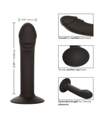 CALEXOTICS - STUD ANAL COURB?