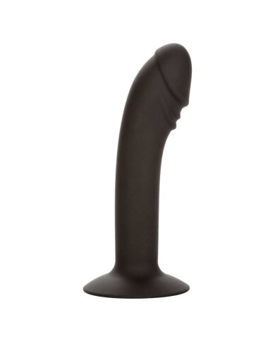 CALEXOTICS - STUD ANAL COURB?
