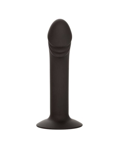 CALEXOTICS - STUD ANAL COURB?