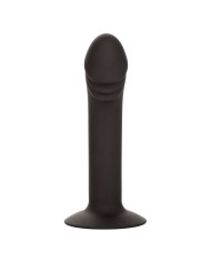 CALEXOTICS - STUD ANAL COURB?