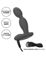 CALEXOTICS - SONDE ROTATEUR