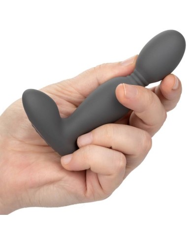 CALEXOTICS - SONDE ROTATEUR