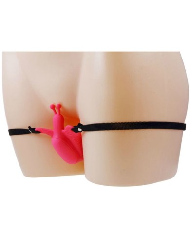 BAILE - HARNAIS PAPILLON TÉLÉCOMMANDE ULTRA PASSIONNÉ