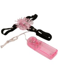 BAILE - HARNAIS AVEC PAPILLON VIBRANT MULTIVITESSES