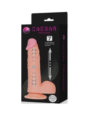 BAILE - FONCTION HAUT ET BAS DU GODE RÉALISTE CAESAR TREASURE