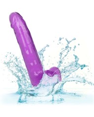 CALEXOTICS - GODE REINE TAILLE VIOLET 20.3 CM