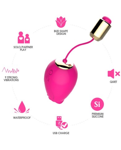 ARMONY - VIBRATEUR MANDALA EGG TÉLÉCOMMANDE G-SPOT FUCHSIA