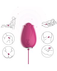 ARMONY - VIBRATEUR MANDALA EGG TÉLÉCOMMANDE G-SPOT FUCHSIA