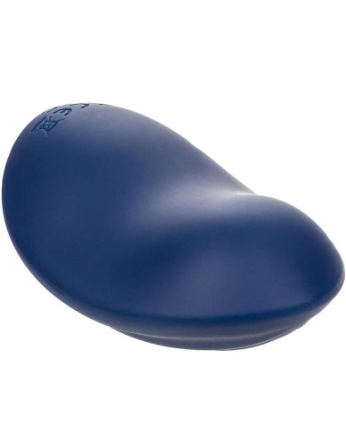 CALEXOTICS - CASHMERE VELOURS CURVE BLEU