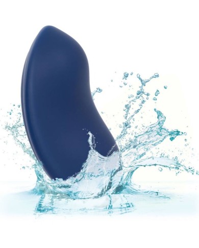 CALEXOTICS - CASHMERE VELOURS CURVE BLEU