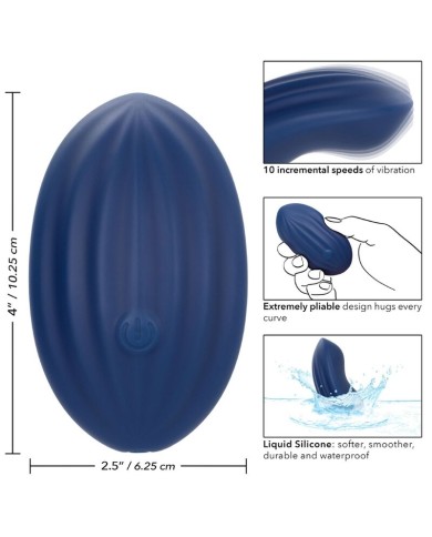 CALEXOTICS - CASHMERE VELOURS CURVE BLEU