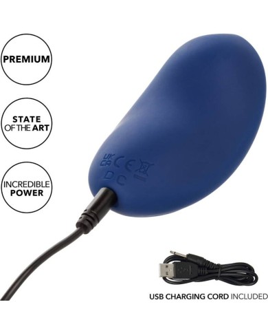 CALEXOTICS - CASHMERE VELOURS CURVE BLEU