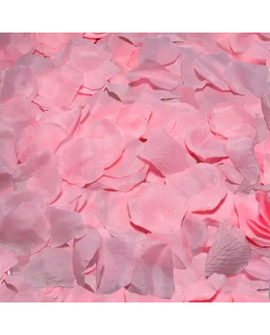 DIABLO PICANTE - 100 PÉTALES ROSES