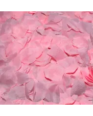 DIABLO PICANTE - 100 PÉTALES ROSES DIABLO PICANTE - 100 PÉTALES ROSES