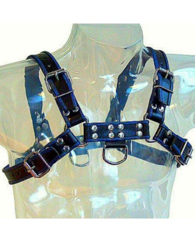 LEATHER BODY - HARNAIS EN CUIR BLEU ET NOIR POITRINE BULLDOG