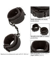 CALEXOTICS - POIGNETS BOUNLESS