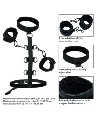 CALEXOTICS - BOUNDLESS COLLIER DE RETENUE
