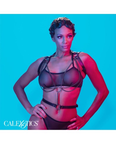 CALEXOTICS - EUPHORIA HARNAIS LICOL MULTICHAÎNES PREMIUM