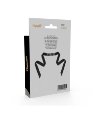 COQUETTE CHIC DESIRE - MASQUE EN DENTELLE NOIRE AVEC RUBAN