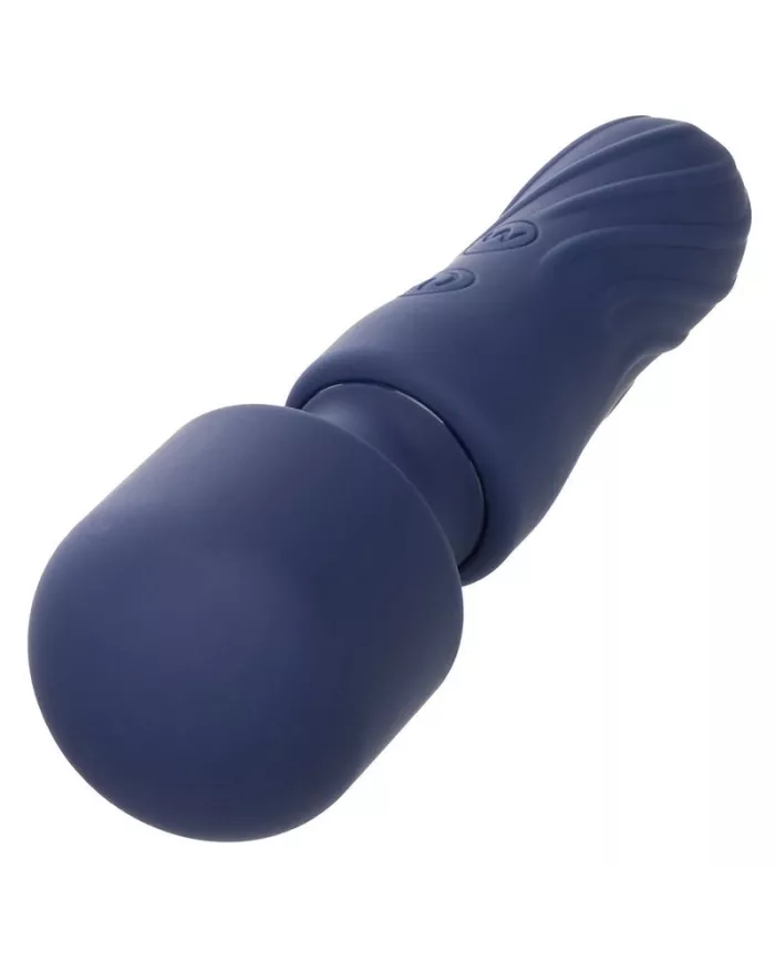 CALEXOTICS - CHARISMA CHARM MASSEUR 12 FONCTIONS VIOLET CALEXOTICS - CHARISMA CHARM MASSEUR 12 FONCTIONS VIOLET