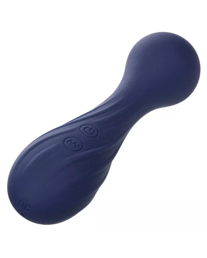 CALEXOTICS - CHARISMA TEMPTATION MASSEUR 12 FONCTIONS VIOLET CALEXOTICS - CHARISMA TEMPTATION MASSEUR 12 FONCTIONS VIOLET