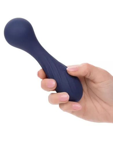 CALEXOTICS - CHARISMA TEMPTATION MASSEUR 12 FONCTIONS VIOLET CALEXOTICS - CHARISMA TEMPTATION MASSEUR 12 FONCTIONS VIOLET