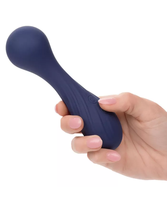 CALEXOTICS - CHARISMA TEMPTATION MASSEUR 12 FONCTIONS VIOLET CALEXOTICS - CHARISMA TEMPTATION MASSEUR 12 FONCTIONS VIOLET