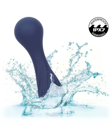 CALEXOTICS - CHARISMA TEMPTATION MASSEUR 12 FONCTIONS VIOLET CALEXOTICS - CHARISMA TEMPTATION MASSEUR 12 FONCTIONS VIOLET