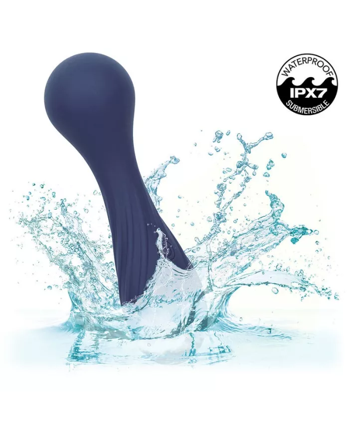 CALEXOTICS - CHARISMA TEMPTATION MASSEUR 12 FONCTIONS VIOLET CALEXOTICS - CHARISMA TEMPTATION MASSEUR 12 FONCTIONS VIOLET