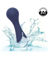 CALEXOTICS - CHARISMA TEMPTATION MASSEUR 12 FONCTIONS VIOLET CALEXOTICS - CHARISMA TEMPTATION MASSEUR 12 FONCTIONS VIOLET