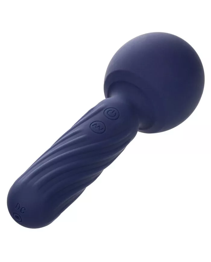 CALEXOTICS - CHARISMA SEDUCTION MASSEUR 12 FONCTIONS 17,75 CM X 6,25 CM VIOLET CALEXOTICS - CHARISMA SEDUCTION MASSEUR 12 FONCTIONS 17,75 CM X 6,25 CM VIOLET