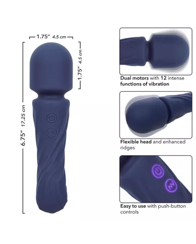CALEXOTICS - CHARISMA ALLURE MASSEUR DOUBLE MOTEURS 12 FONCTIONS 17,25 CM X 4,5 CM VIOLET CALEXOTICS - CHARISMA ALLURE MASSEUR DOUBLE MOTEURS 12 FONCTIONS 17,25 CM X 4,5 CM VIOLET