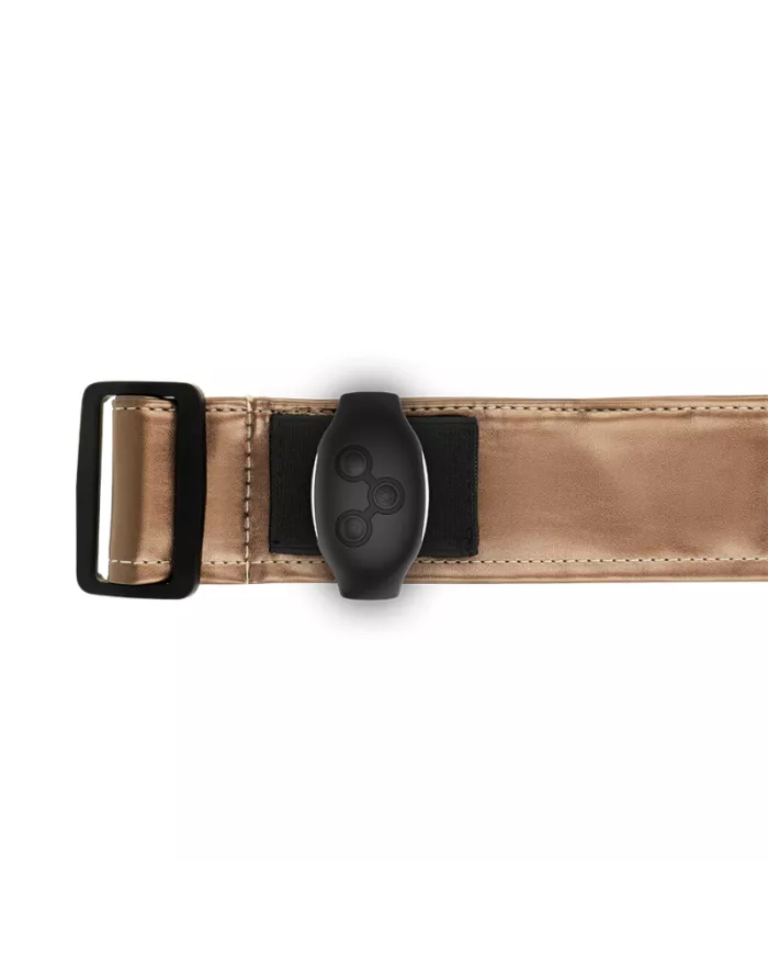 MYTHOLOGY - HARNAIS FANTAISIE HARNAIS BRONZE S/M