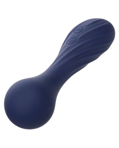 CALEXOTICS - CHARISMA TEMPTATION MASSEUR 12 FONCTIONS VIOLET