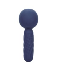 CALEXOTICS - CHARISMA SEDUCTION MASSEUR 12 FONCTIONS 17,75 CM X 6,25 CM VIOLET