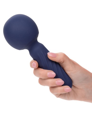 CALEXOTICS - CHARISMA SEDUCTION MASSEUR 12 FONCTIONS 17,75 CM X 6,25 CM VIOLET