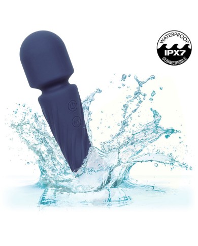 CALEXOTICS - CHARISMA ALLURE MASSEUR DOUBLE MOTEURS 12 FONCTIONS 17,25 CM X 4,5 CM VIOLET